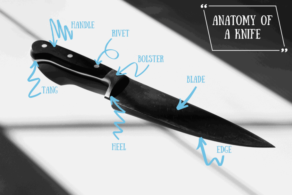 parts of a fixed blade knife