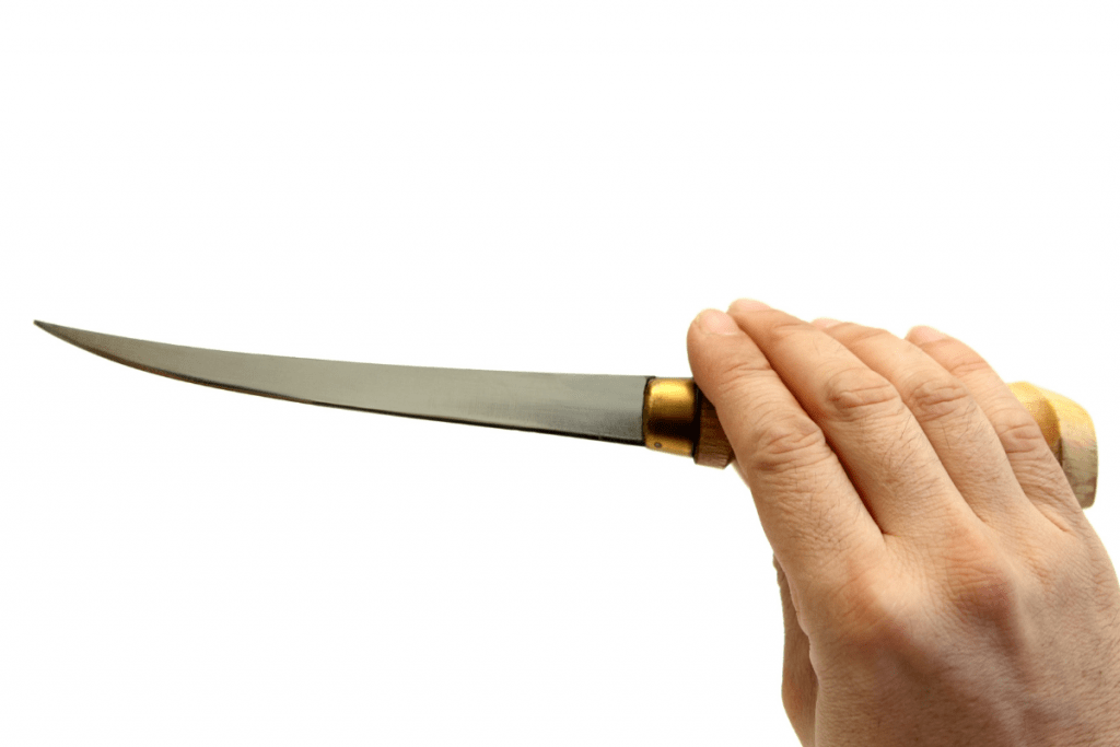 best fillet knife - buyers guide