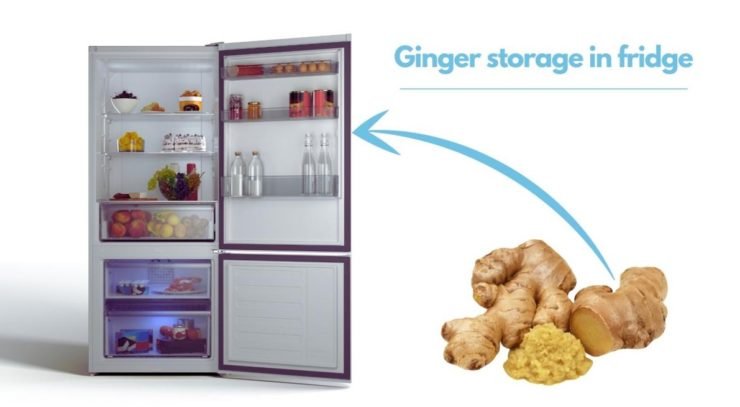ginger in fridge