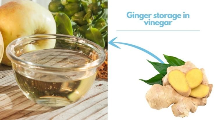 ginger in vinegar