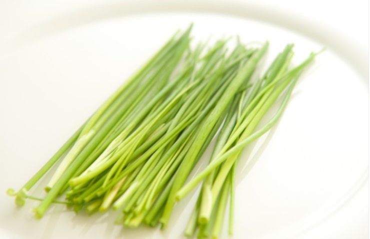 green chives on white tray