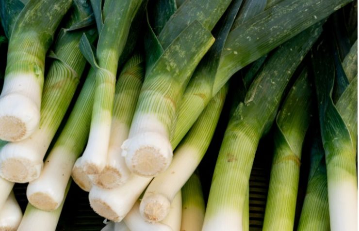 leeks in the market