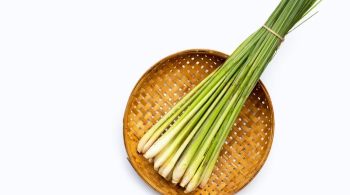 Best Lemongrass Substitute: 5 Easy-to-Find Options