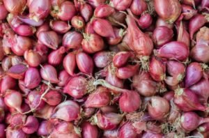 a lot of red shallot onion