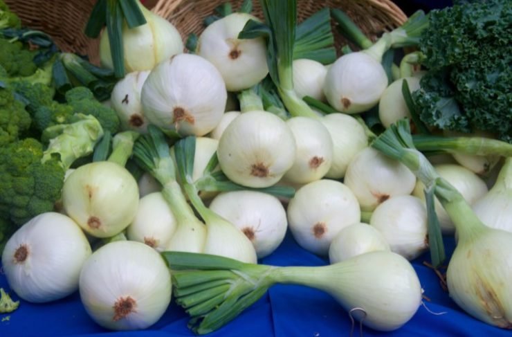 sweet onion