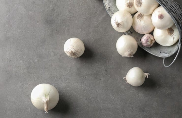 white onion on a gray background