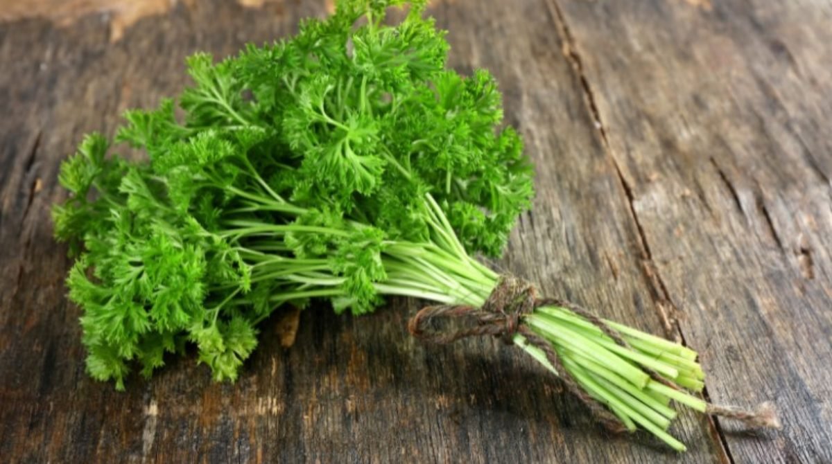 Parsley Substitutes