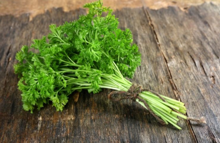 parsley substitute