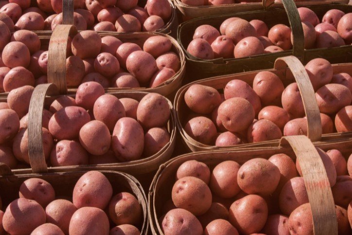 Baskets Red potatoes farmers marketes
