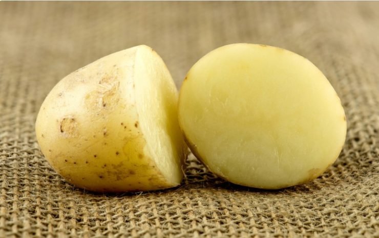 raw white potato