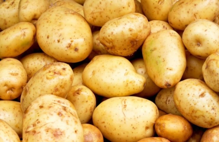 yellow potatoes 