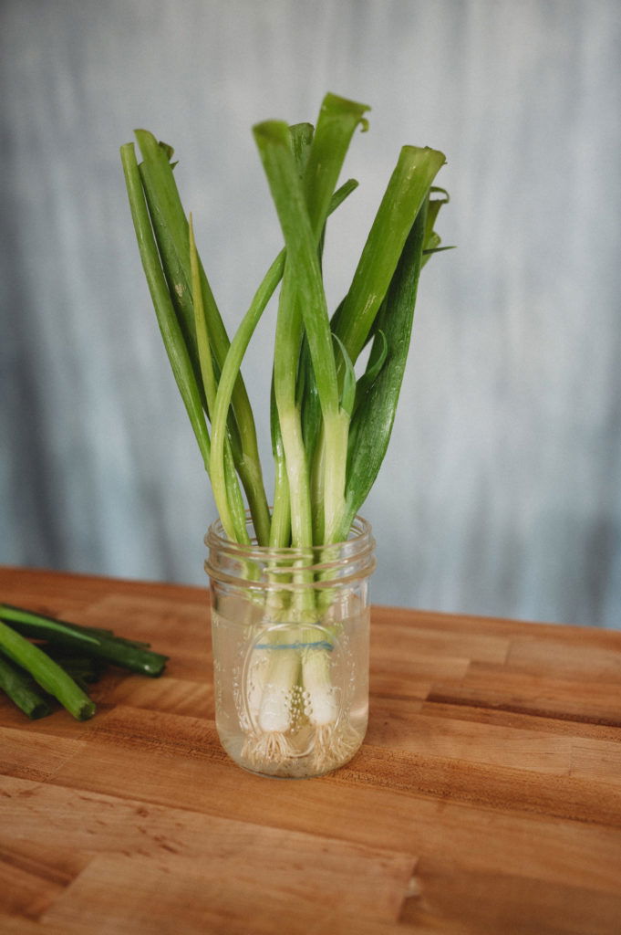 green onions in a jar