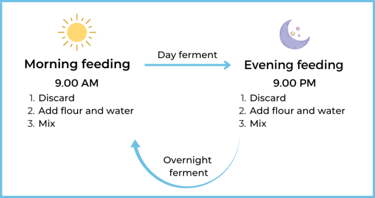 how i feed my starter