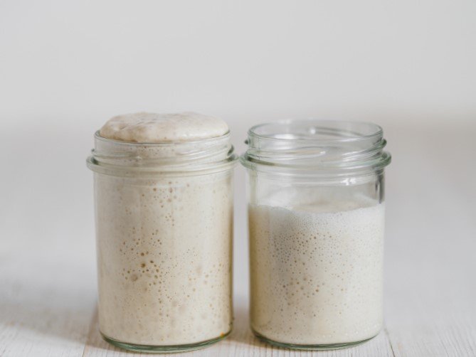 Wheat Sourdough Starters in Different Hydration Levels
