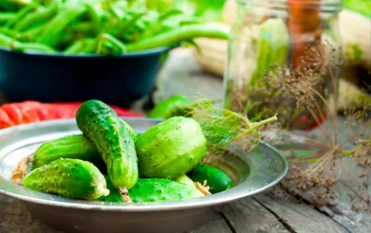 Cucumber pickled in a plate