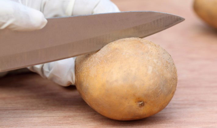 Cutting potato