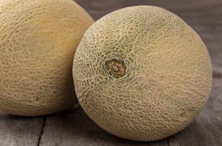 2 melons color