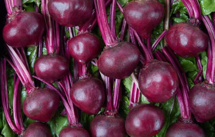 choose best beet