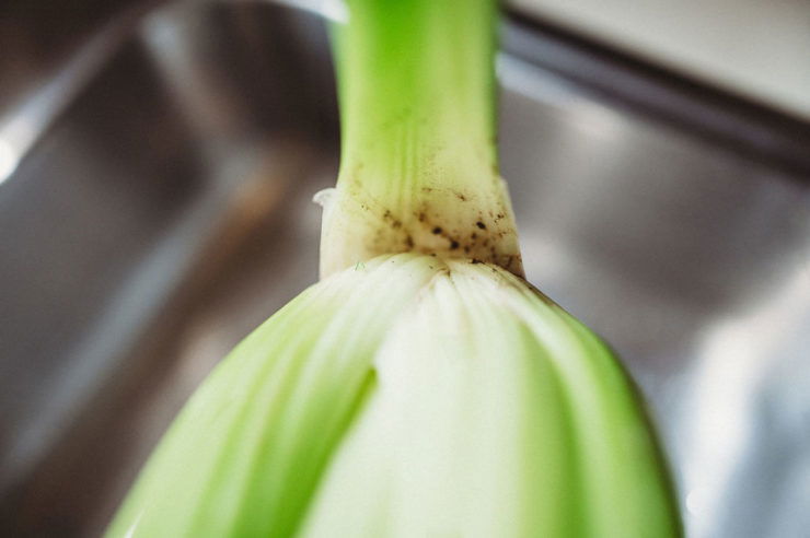 dirt found on celery