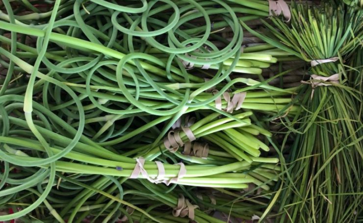 fresh garlic scapes