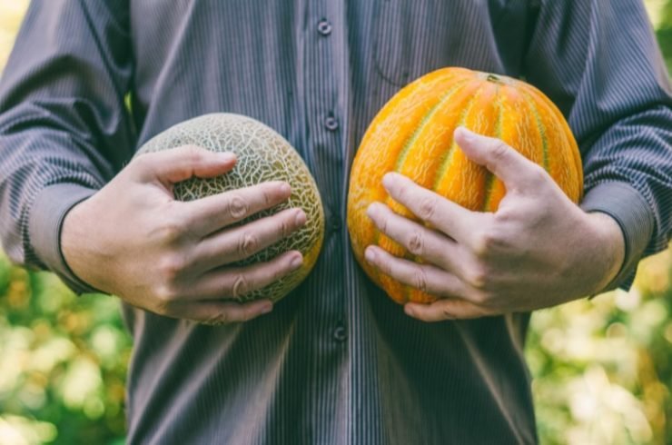 Person Holding Melons on Each Hand