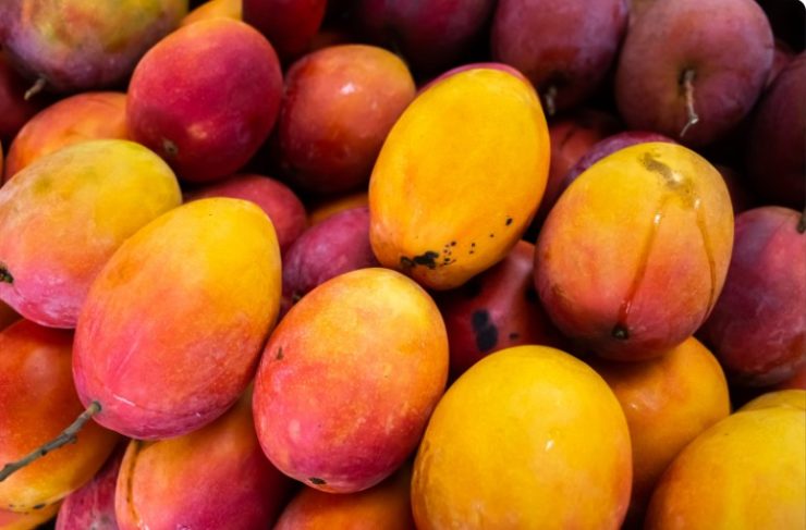 Fresh Mango in the Market