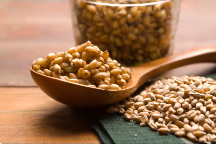 Wheat Germ in a wooden spoon