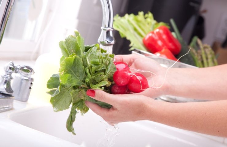 Woman Washing Radish