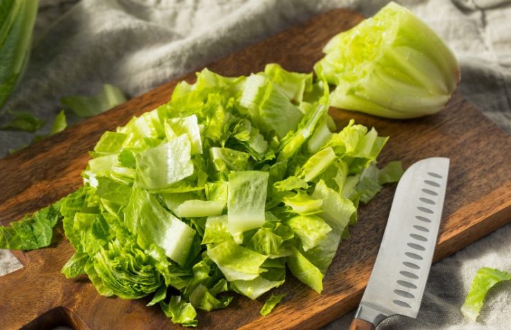 Raw Green Organic Cut Up Romaine Lettuce