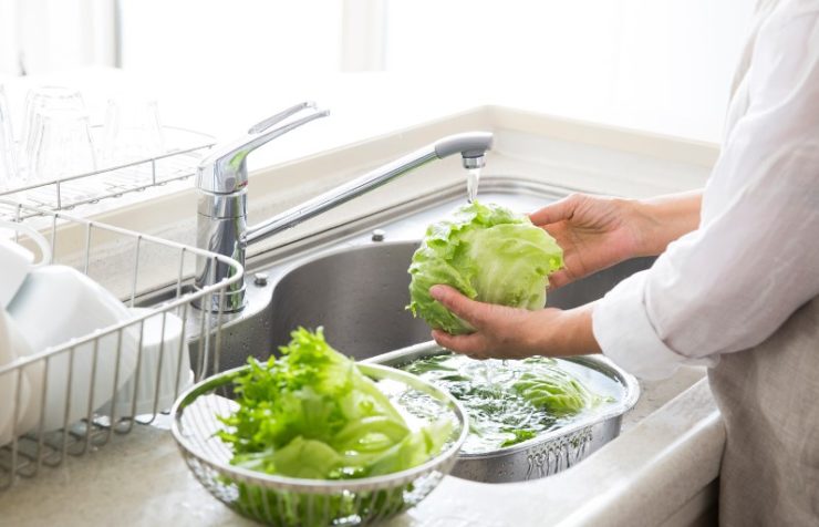 person washing lettuce