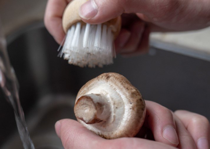 Washing mushrooms with a mushroom brush