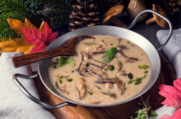 Tasty mushroom sauce in a pan