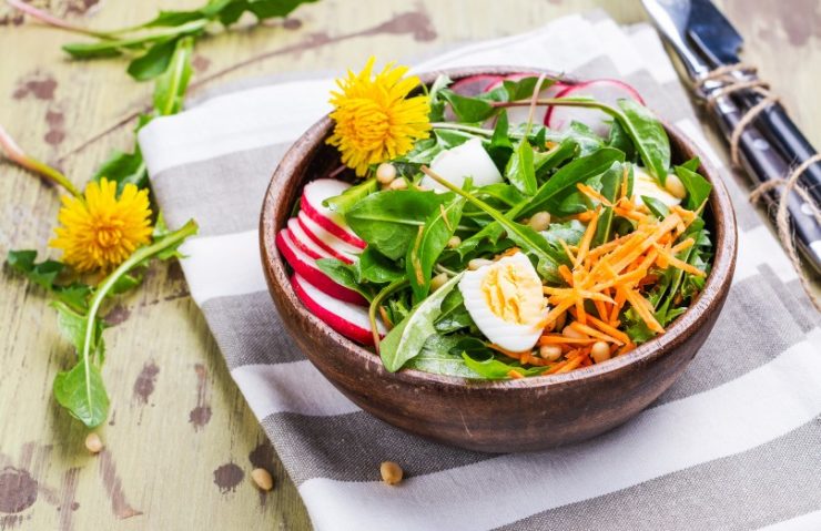 Fresh dandelion salad