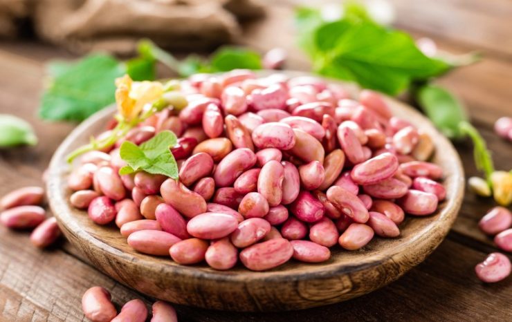 Red kidney beans. Haricot bean