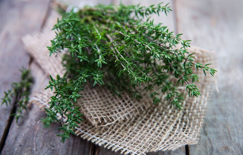 Best Substitute for Thyme - Food with Feeling