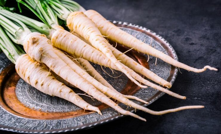  Fresh parsnip. Parsnip with parsley on concrete board.